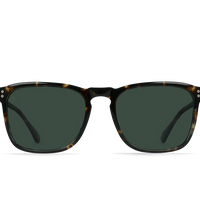 Raen - Wiley in Brindle Tortoise / Green Polarized