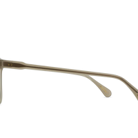 Raen - Wiley in Eden / Vibrant Brown Polarized