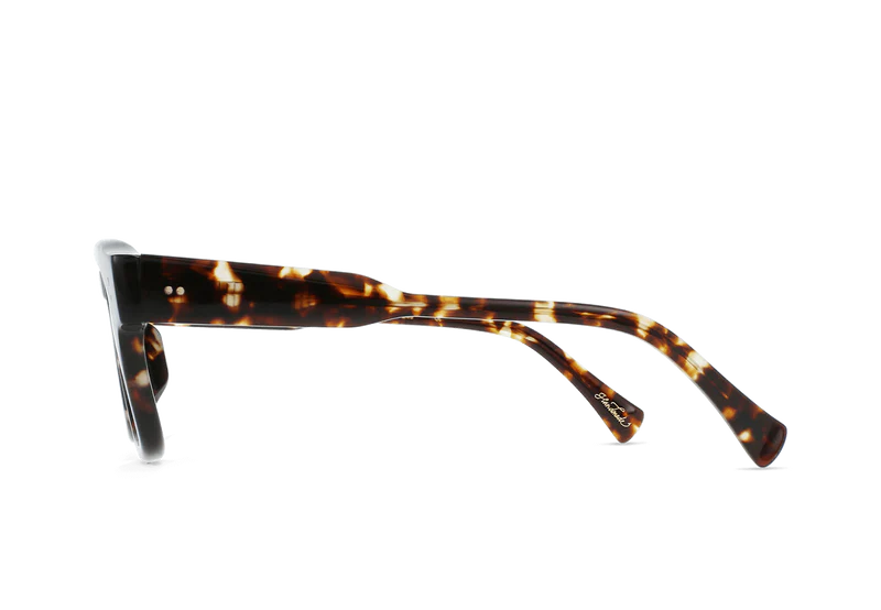 Raen - Rece in Brindle Tortoise / Green Polarized