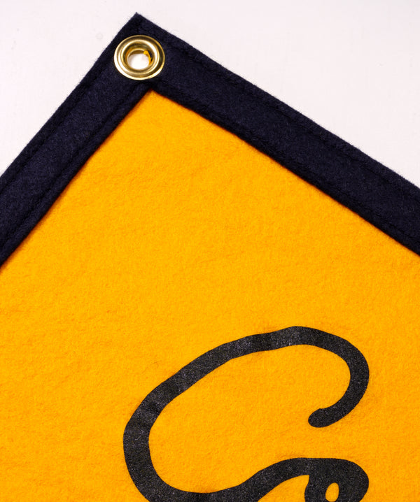 Oxford Pennant - Comfort is a Slow Death Camp Flag