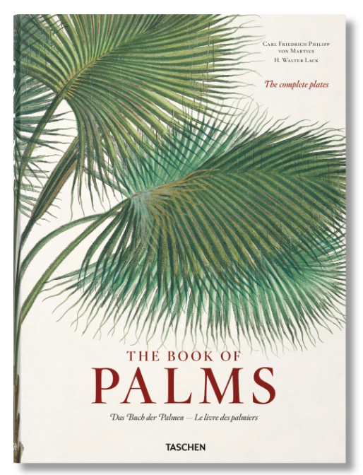 Taschen - Palms