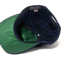 The Ampal Creative - Eagle Souvenir Snapback