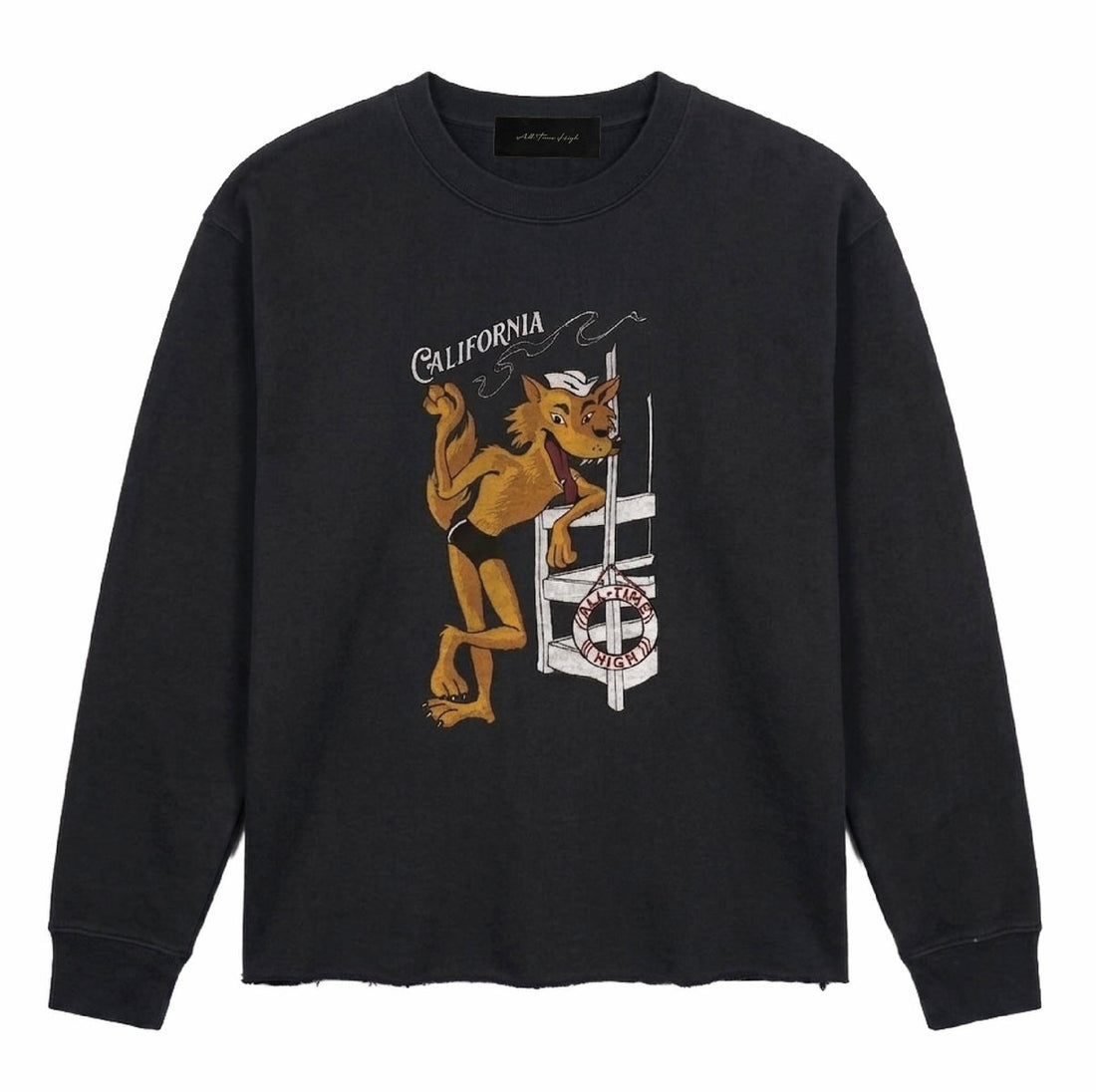 All Time High Lifeguard Longsleeve in Rinsed Black